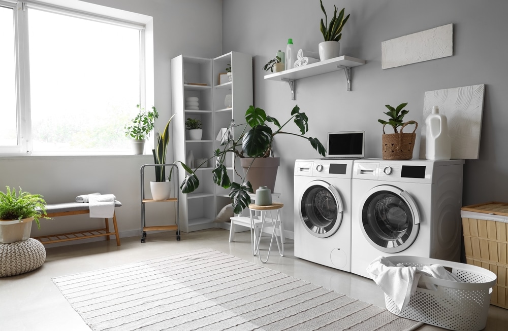 interior,of,laundry,room,with,washing,machines,,houseplants,and,laptop